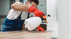 Best Residential Pest Control  in Wallace, NC